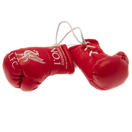 Liverpool FC Car Hangers Boxing Gloves