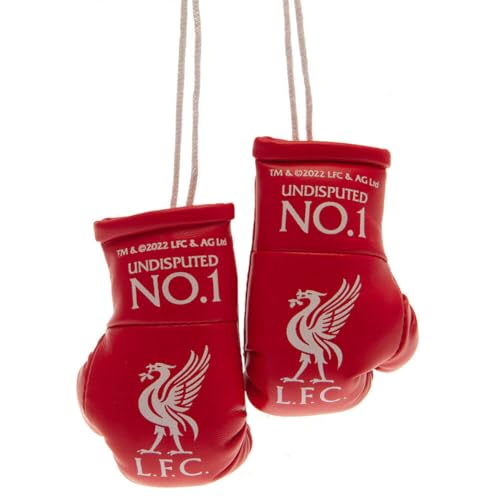 Liverpool FC Car Hangers Boxing Gloves - Image 2