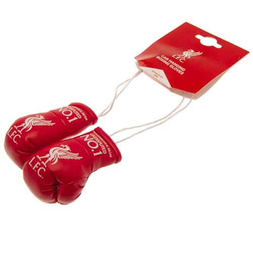 Liverpool FC Car Hangers Boxing Gloves - Image 4